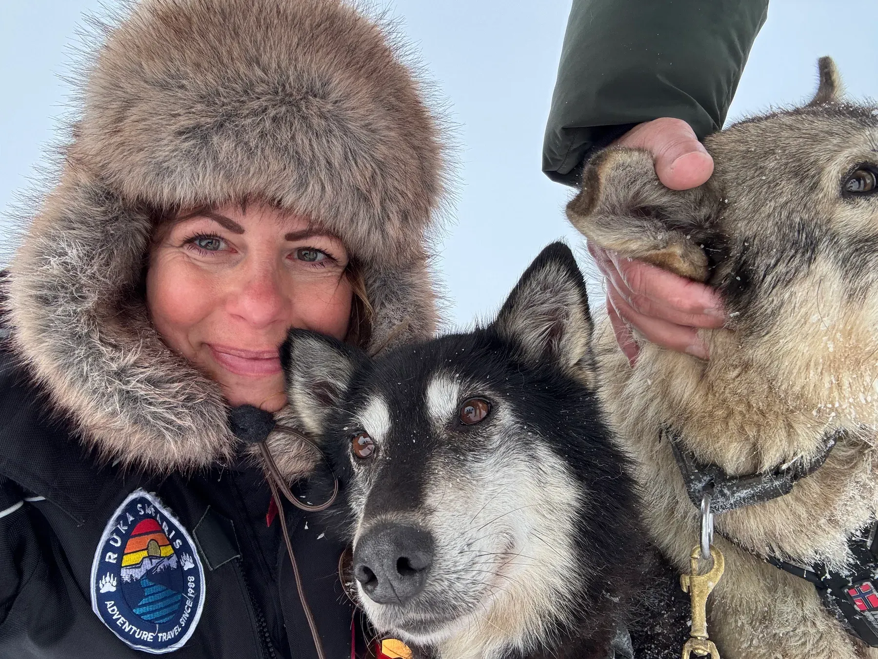 Reisebegleiterin mit Fellkapuze schmiegt sich im Schnee an zwei Schlittenhunde