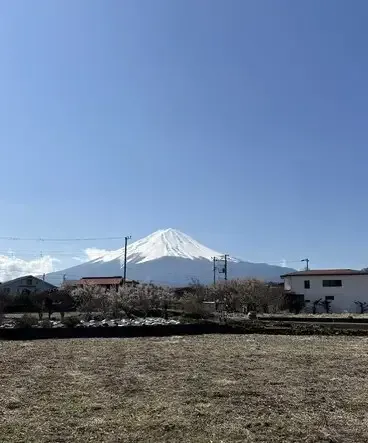 Der schneebedeckte Mount Fuji hinter einem Ort, im Vordergrund blühende Kirschbäume