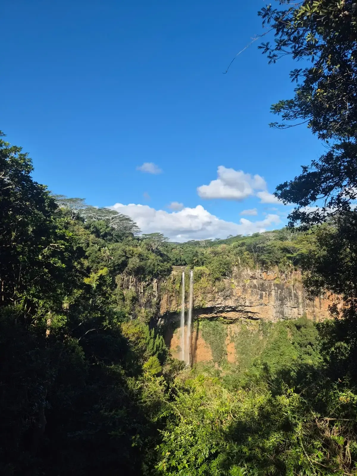 Wasserfall stürzt über eine steile Felswand in eine dicht bewaldete Schlucht